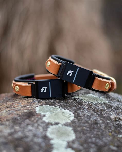 Durango 1" Buckle Collar for Fi GPS Trackers - Sexy Beast Dog Collars