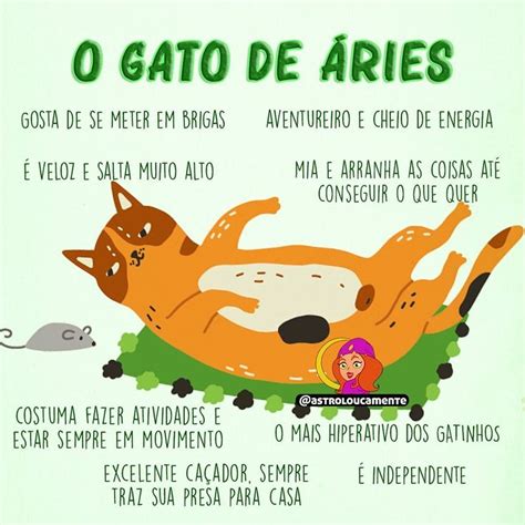 7 725 curtidas 161 comentários Astroloucamente por signos