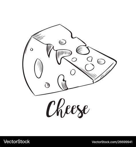 Cheese line art handdrawn Royalty Free Vector Image