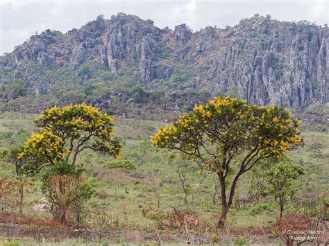 Pireneus State Park Parque Estadual Dos Pireneus Cocalzin Flickr