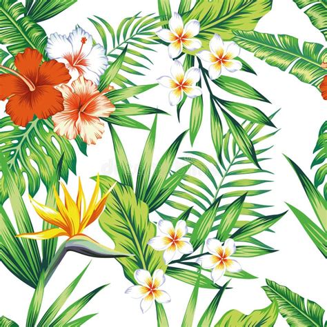 Bird Of Paradise Leaves Green Color Tropical Seamless Pattern Stock