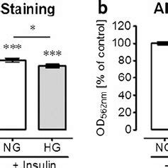 Insulin Reduces Matrix Mineralization In Primary Human Osteoblasts