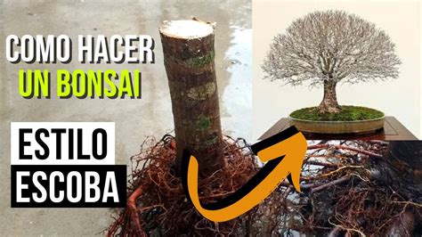 A Os De Trabajo Resumidos En Minutos Como Hacer Un Bonsai De