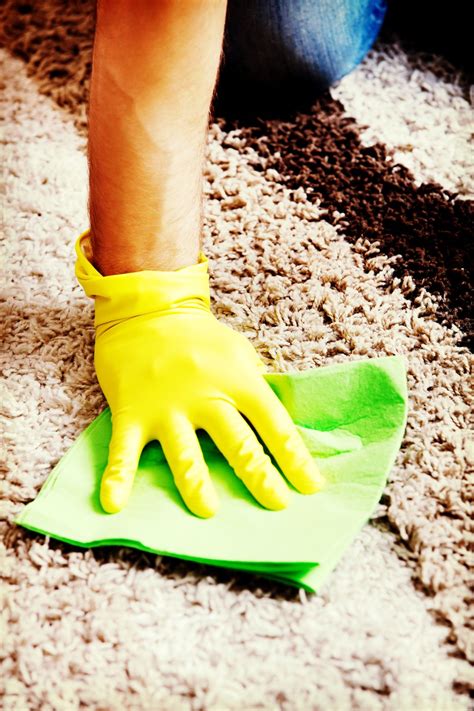 How To Start A Carpet Cleaning Business Desygner