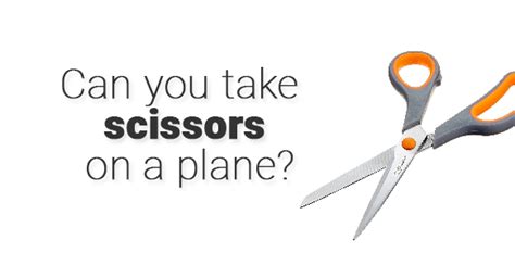 Can You Bring Scissors On A Plane TSA Rules Explained TRAVELCLOSELY