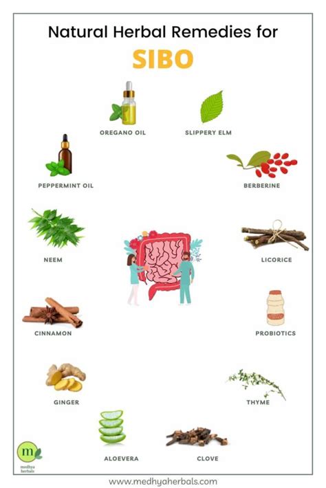 Peppermint Tea And Its Impact On Sibo Unraveling The Connection Just Tea