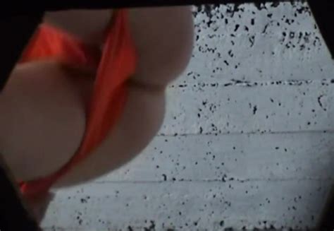 Beach WC Pee Voyeur Bikini Girl Pees Plenty Of Flies ThisVid
