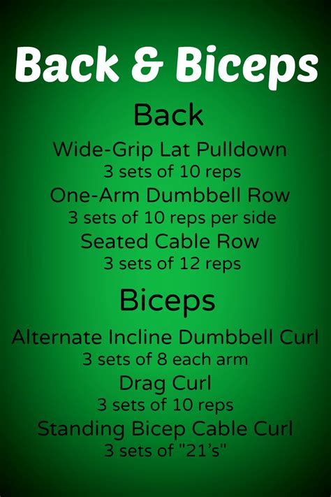 Back And Bicep Dumbbell Workout Off 54