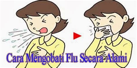 Cara Mengobati Flu Homecare24