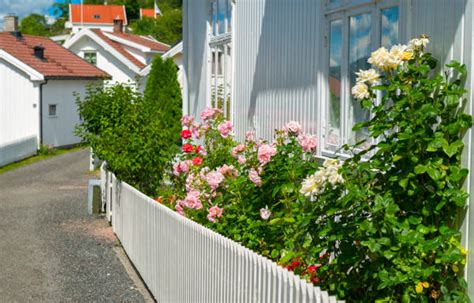 630 Summer House Norway Stock Photos Pictures And Royalty Free Images