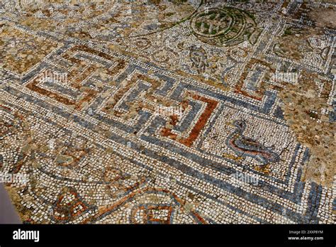 remains  artful mosaics decorating floors  houses  ephesus