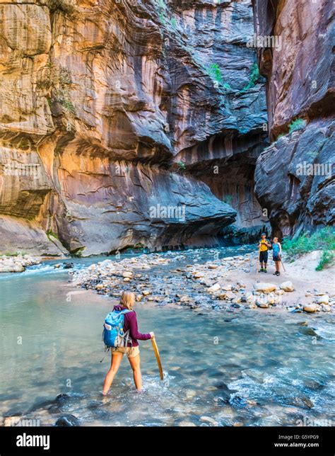 Hiker Crossing River Zion Narrows Narrow Of The Virgin River Steep