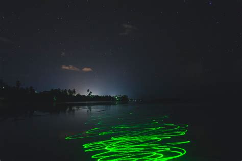 Banco De Imagens Luz Céu Noite Estrela Atmosfera Trevas Aurora Luar Astronomia Meia