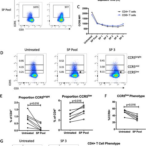 Impact Of Sp On Isolated T Cell Ccr5 Expression Bulk T Cells Were