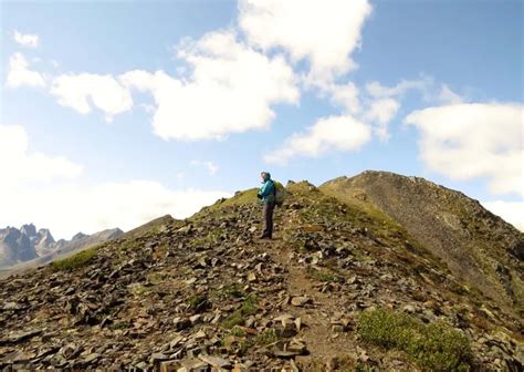 Hiking The Grizzly Lake Trail Tombstone Territorial Park Yukon Territory