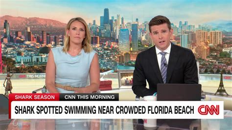 Shark Spotted Near Crowded Florida Beach Cnn