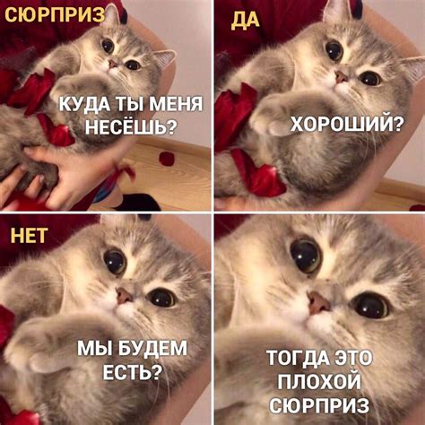 Обои 4к мемы