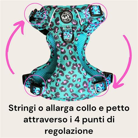 Pettorina 3 Clip Aqua Leopard Non Passa Dalla Testa Piggy Pet