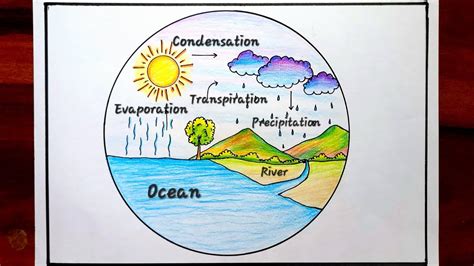 Water Cycle Project Drawing How To Draw Easy Water Cycle Easily