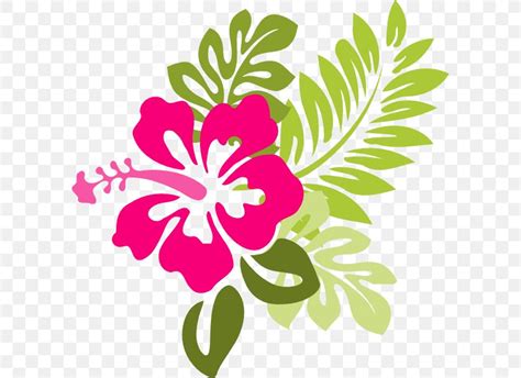 Hawaiian Flower Drawing How To Best Flower Site