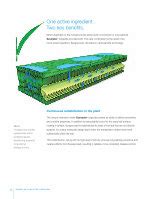 PDF Xzemplar Fungicide Technical Information Bulletin Betterturf