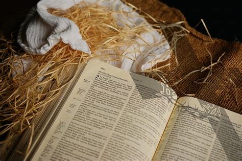 LECTIO DIVINA DE LA PRIMERA LECTURA DOMINGO DE RAMOS EN LA PASIÓN DEL