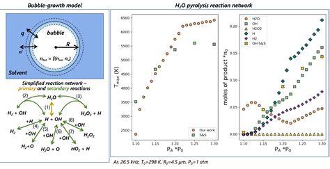 382g Simulating The Ultrasound Assisted Depolymerization Of Biomass Using Reduced Order