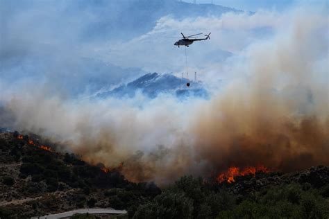 Wildfires, fanned by strong winds, blaze in Turkey's west and north