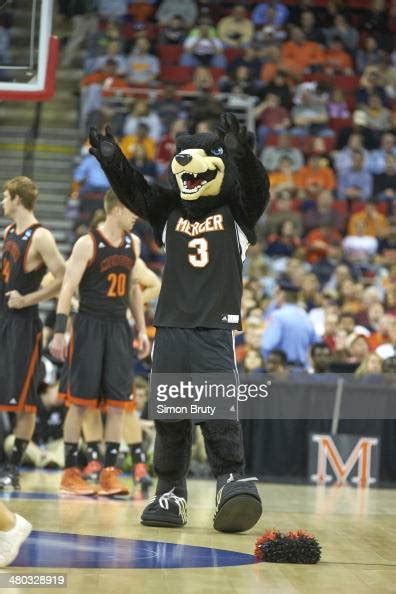 Mercer Bears mascot Toby the Bear during game vs Tennessee at PNC ...