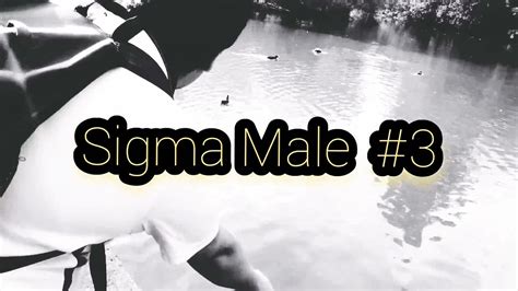 Becoming Sigma Male 3 Rule Trap Your Enemies With Bait Sigma Male