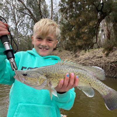 Fishing in Murrumbidgee river | Fishbrain