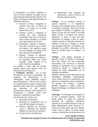 Actividad Art Culo Sistema Digestivo Pdf