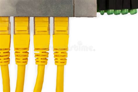 Ethernet Switch Board With Two Yellow Patch Cords Top View Stock Photo