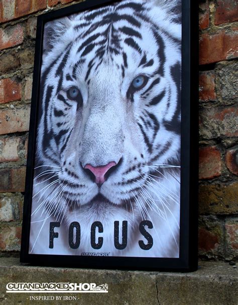 FOCUS - A2 High Quality Motivational Poster – CutAndJacked Shop