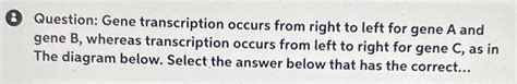 Solved 8 ﻿question Gene Transcription Occurs From Right