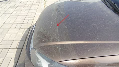 Бронь-пленка на капот — Volkswagen Polo Sedan, 1,6 л, 2016 года ...