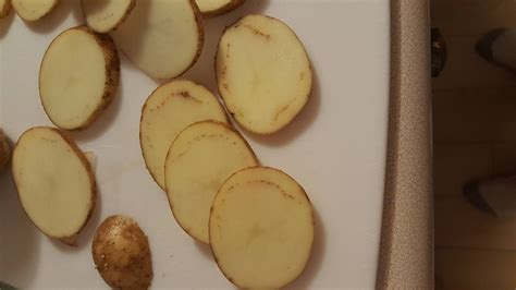 What Are These Dots Inside This Potato R Whatsthisplant