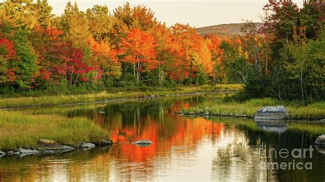 Autumn Reflections Photograph By Claudia M Photography Fine Art America