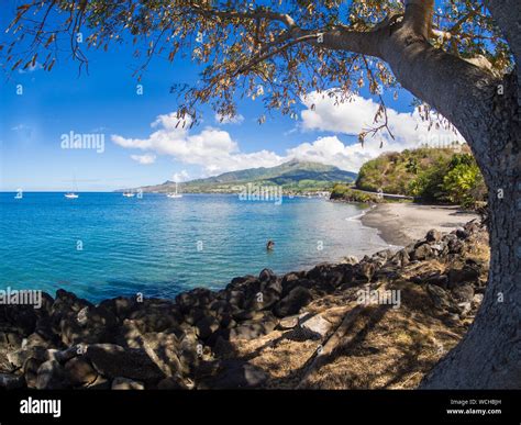 SEUL SUR LA PLAGE Telegraph