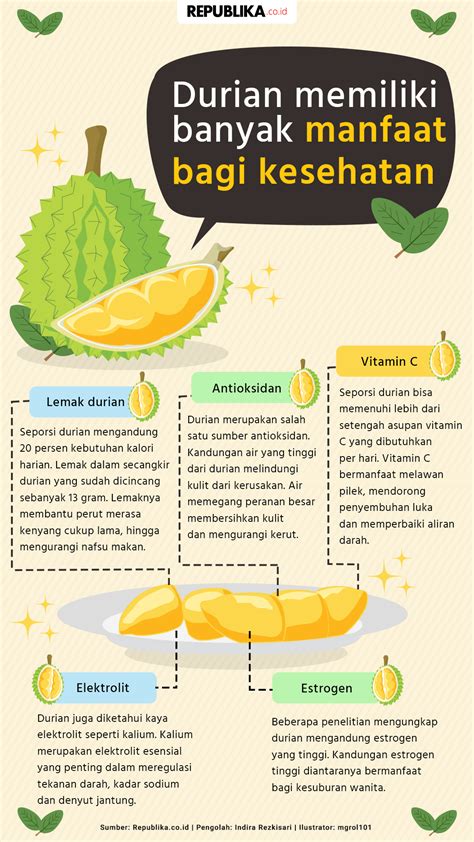 Secangkir Nutrisi Dalam Durian Republika Online