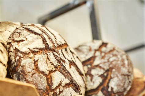 Antoinette Pain et Brioche par Cédric Alibert La Plume d Adam