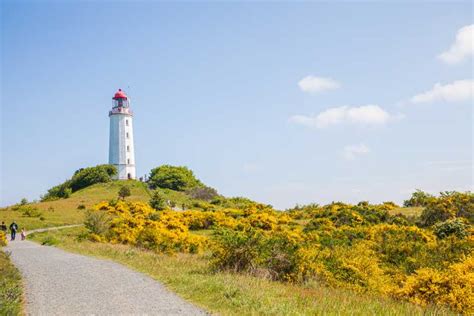 Boat Trip To The Island Of Hiddensee From Zingst Getyourguide