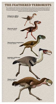 94 Prehistoric Birds ideas | prehistoric, prehistoric animals, paleo art