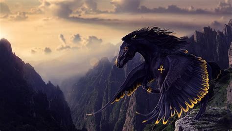 Hd Wallpaper Black Pegasus Look Rendering Wings Mane Black Horse