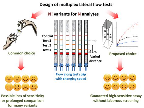 What Does A Lateral Flow Test Look Like