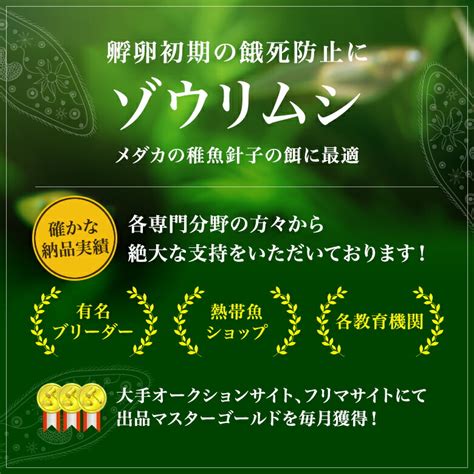 【楽天市場】ポイント10倍送料無料 ゾウリムシ専用餌 和香特製ゾウリムシ用培養粉餌 詳しい培養説明書＆マドラー付 微生物に最適のえさ めだか