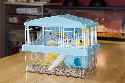 Best 12 Gerbil Cages & Tanks For Sale In 2022 (Reviews + Guide)