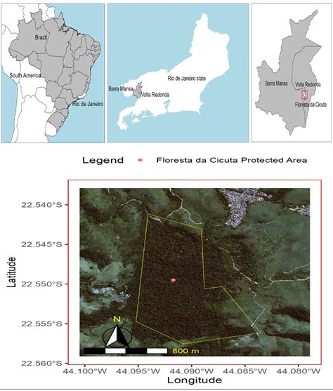 Scielo Brasil Inclusion Criteria Influence Species Richness