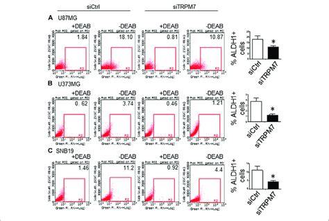 GSC Marker ALDH1 Is Positively Correlated With TRPM7 Expression In