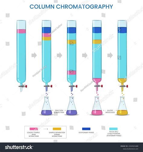 3 Hundred Cromatografía En Columna Royalty Free Images Stock Photos